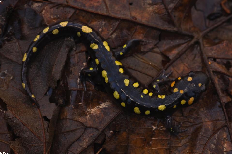 户外训练小众化